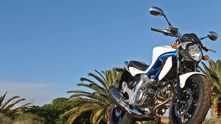 Suzuki Sfv650 Gladius